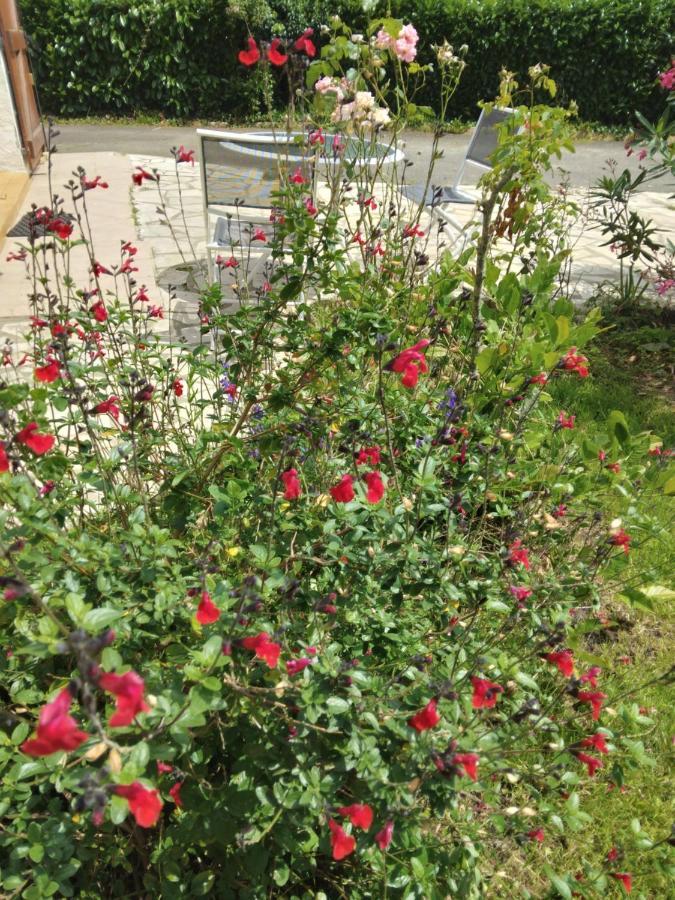 Petit Coin De Charme Villa Seyresse Dış mekan fotoğraf